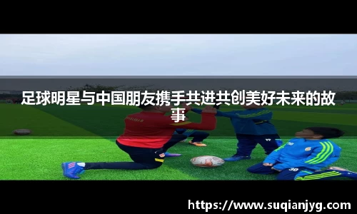 BB贝博官网