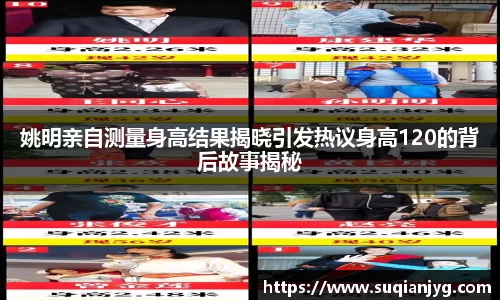 BB贝博官网