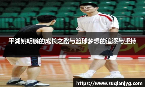 BB贝博官网