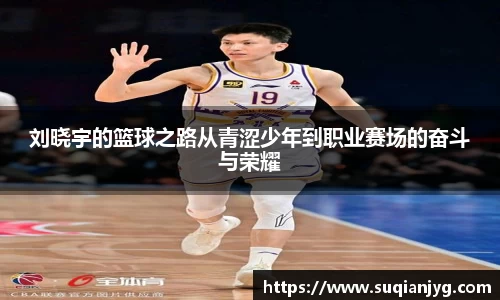 BB贝博体育官网