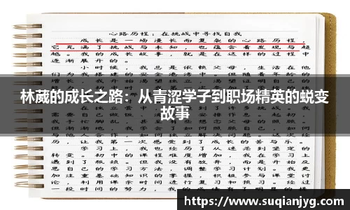 BB贝博体育官网