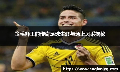 金毛狮王的传奇足球生涯与场上风采揭秘