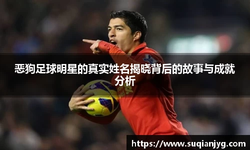 BB贝博中国官网